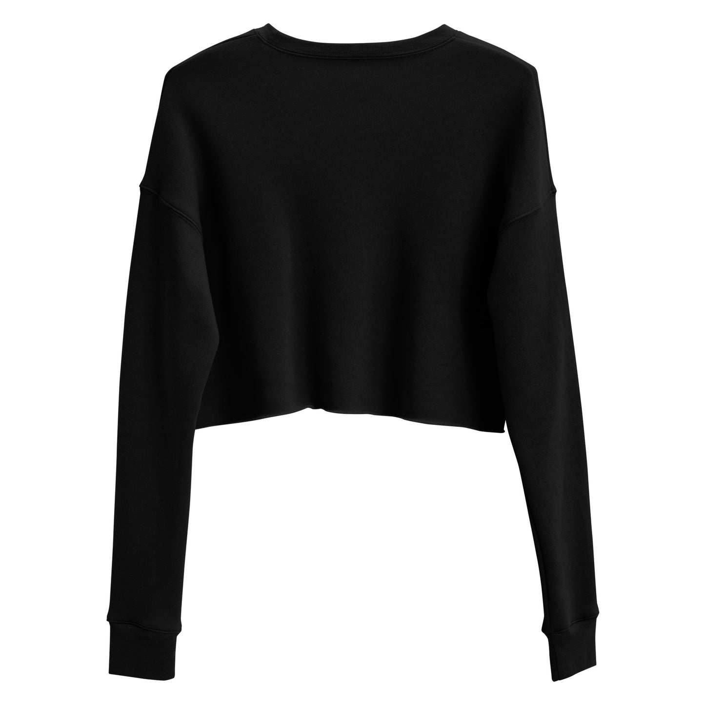 Space Daddy Embroidered Cropped Sweatshirt
