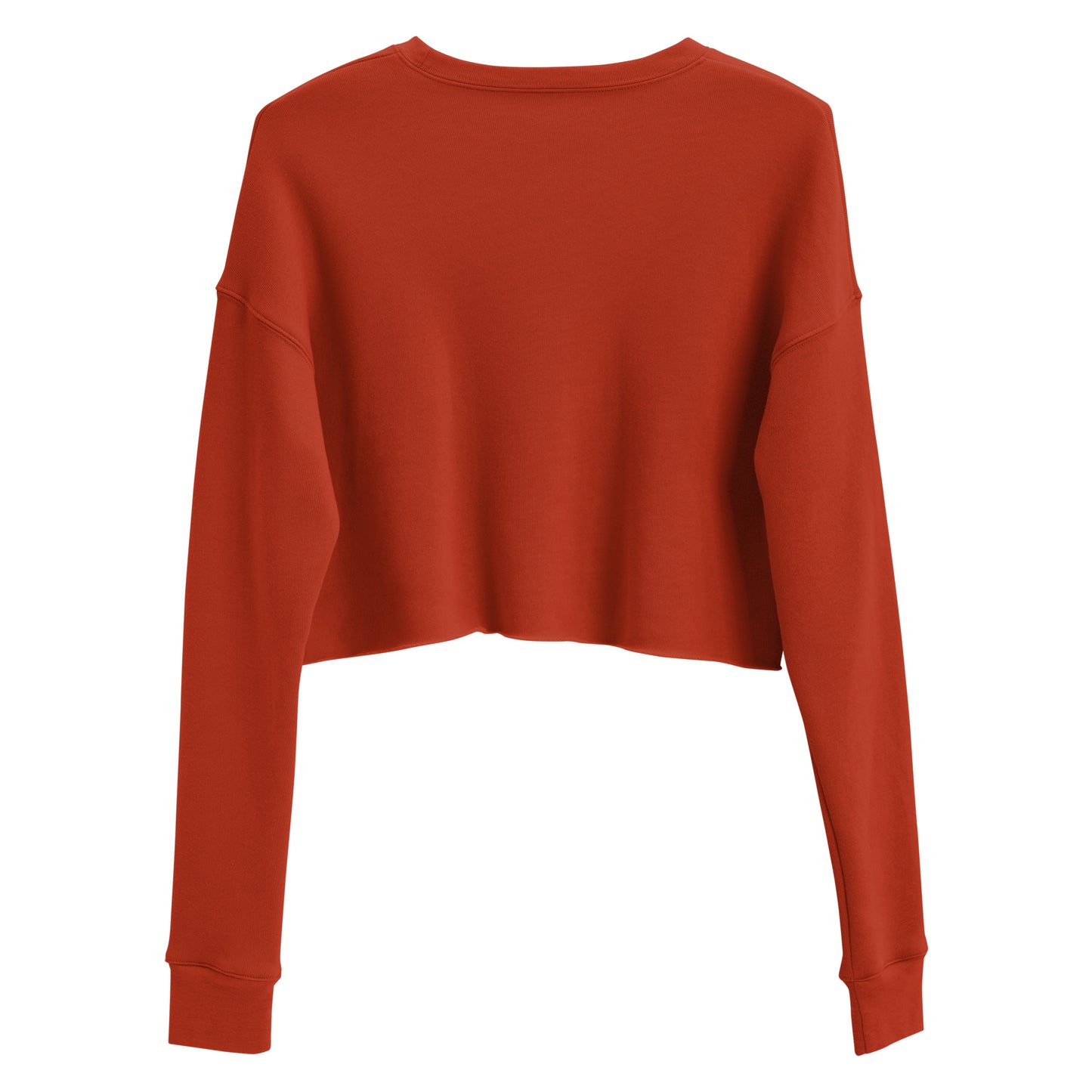 Space Daddy Embroidered Cropped Sweatshirt
